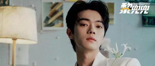 大瓜爆料许凯视频大全集,大瓜爆料背后的精彩瞬间